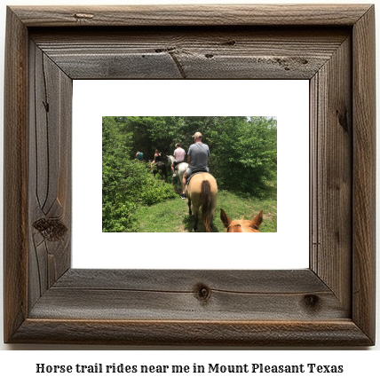 horse trail rides near me in Mount Pleasant, Texas